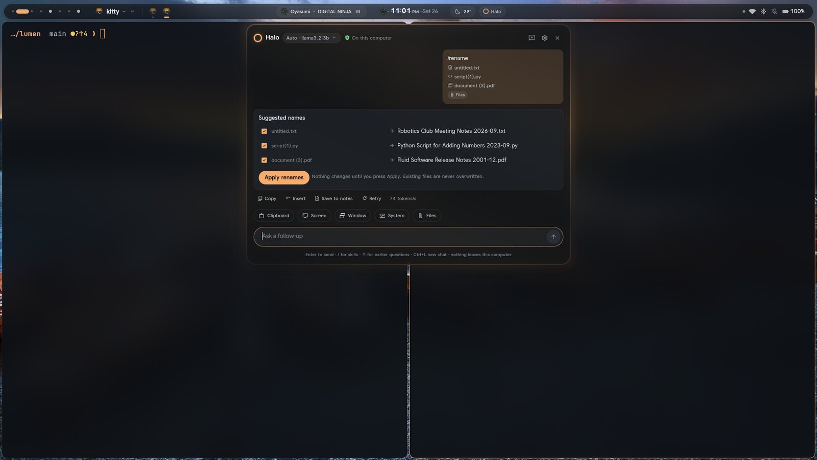 Halo suggesting new file names with checkboxes and an Apply renames button